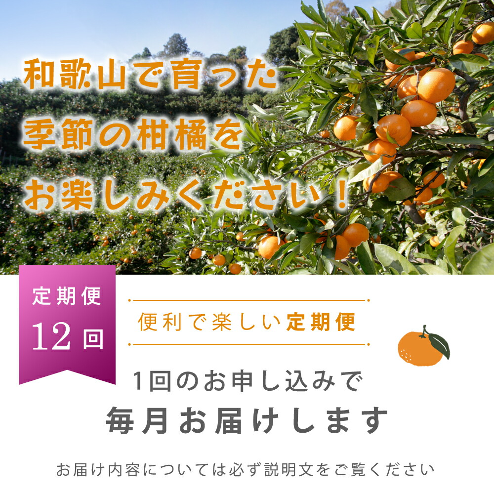 【ふるさと納税】厳選★季節の柑橘定期便5kg【毎月・計12回】【頒布会】
