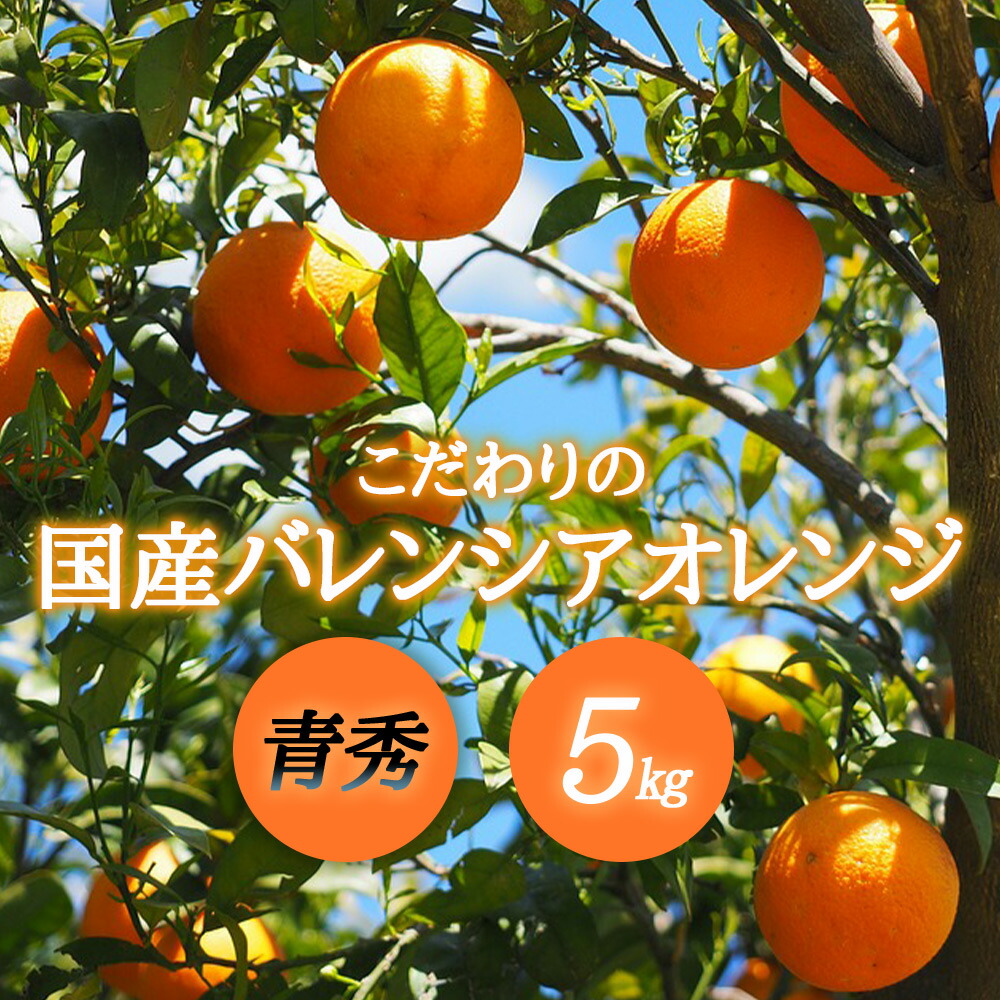 先行予約 バレンシアオレンジ青秀フルーツ 果物 ふるさと納税 バレンシアオレンジこだわりの5kg 和歌山県湯浅町 ふるさと納税 先行予約 こだわりの国産 先行予約 バレンシアオレンジ青秀フルーツ 果物 ふるさと納税 バレンシアオレンジこだわりの5kg 和歌山県湯浅町 ふるさと納税 先行予約 こだわりの国産