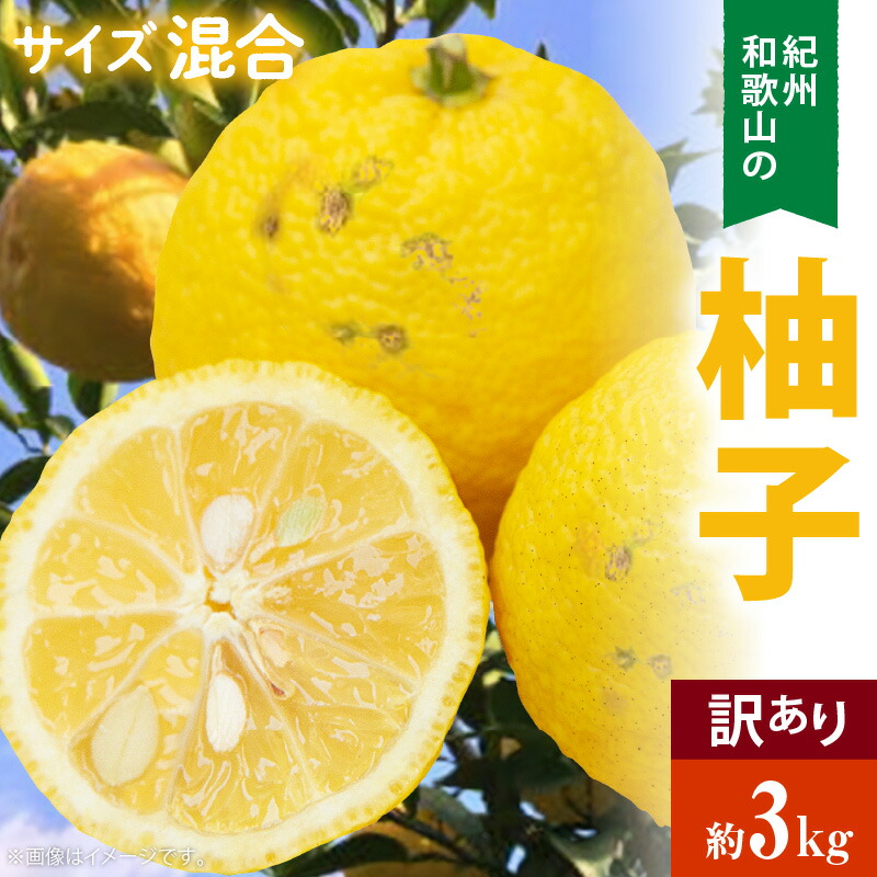 楽天市場】【ふるさと納税】【先行予約】【11月中旬から12月中旬に順次