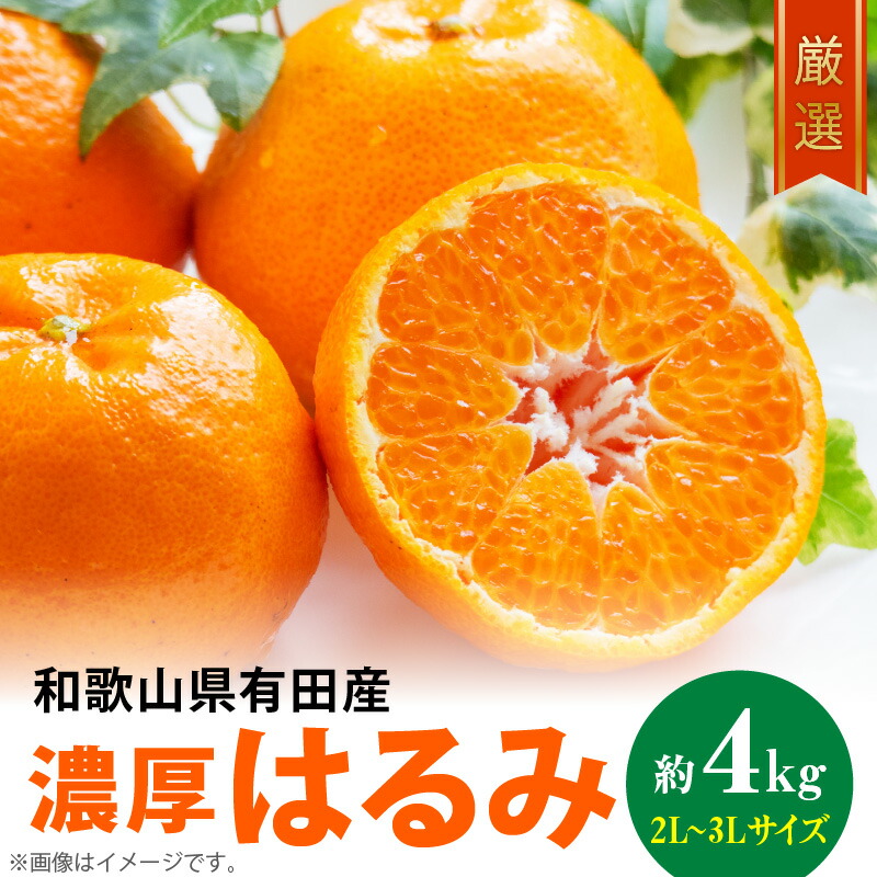 【ふるさと納税】【2026年先行予約】【限定】 和歌山有田の濃厚 はるみ 4kg (2L～3Lサイズ)【ハルミ 春見 ミカン 蜜柑 柑橘 和歌山 有田】