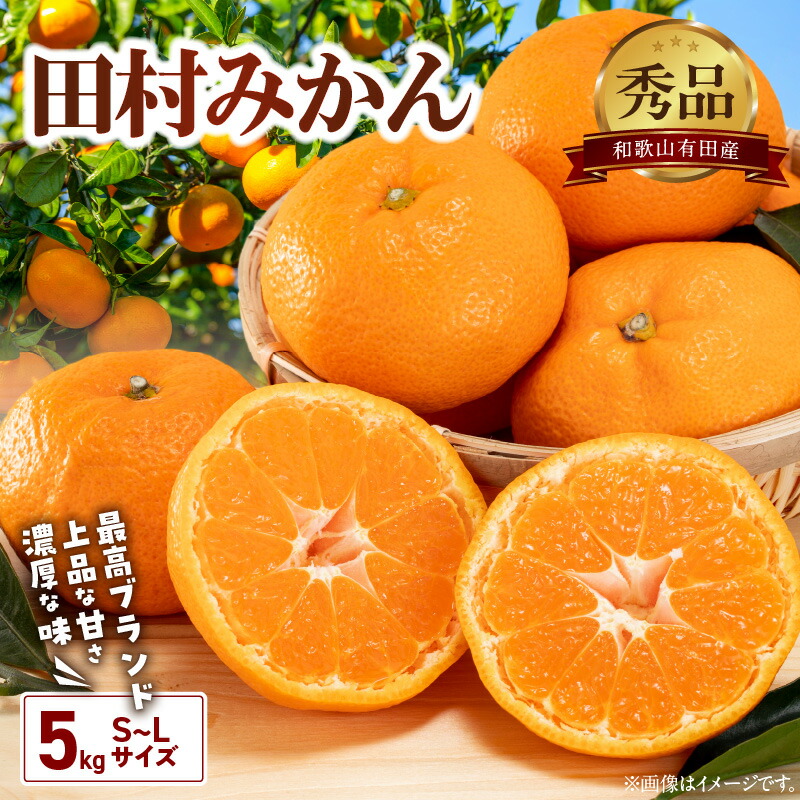 【ふるさと納税】【2025年先行予約】 田村みかん 約 5kg S ～ Lサイズ おまかせ  秀品 有田 高級みかん  高級 ギフトにもオススメ 贈り物 贈答 フルーツギフト フルーツ 果物 果実 みかん 温州みかん 有田みかん お取り寄せ 産地直送 送料無料 和歌山県 湯浅町