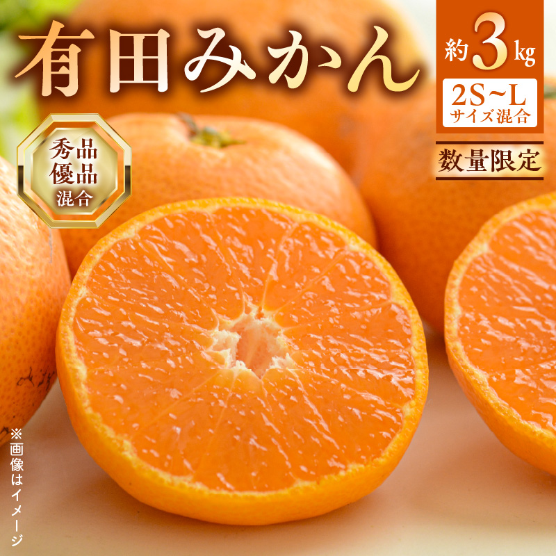 【ふるさと納税】【2025年先行予約】 数量限定 期間限定 有田みかん 約 3kg 2S~Lサイズ サイズ混合 30個 前後 秀品 優品 紀州 有田 みかん 温州みかん フルーツ 果実 甘み 酸味 絶妙 バランス 果物 柑橘 国産 食品 食べ物 マルシ農園 お取り寄せ 和歌山県 湯浅町 送料無料