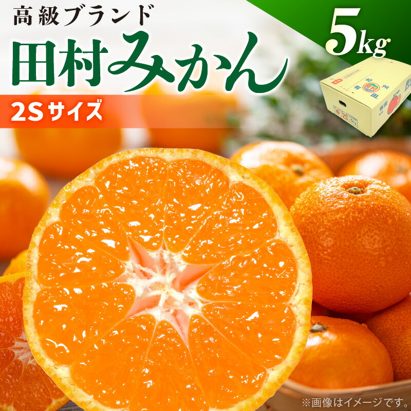 【ふるさと納税】【2025年 先行予約】 有田みかん 秀品 約 5kg 2Sサイズ 高級ブランド 田村みかん 小玉 みかん 温州みかん フルーツ 果物 柑橘 果汁 ジューシー 赤秀品 青秀品 国産 食品 食べ物 期間限定 お取り寄せ 和歌山県 湯浅町 送料無料