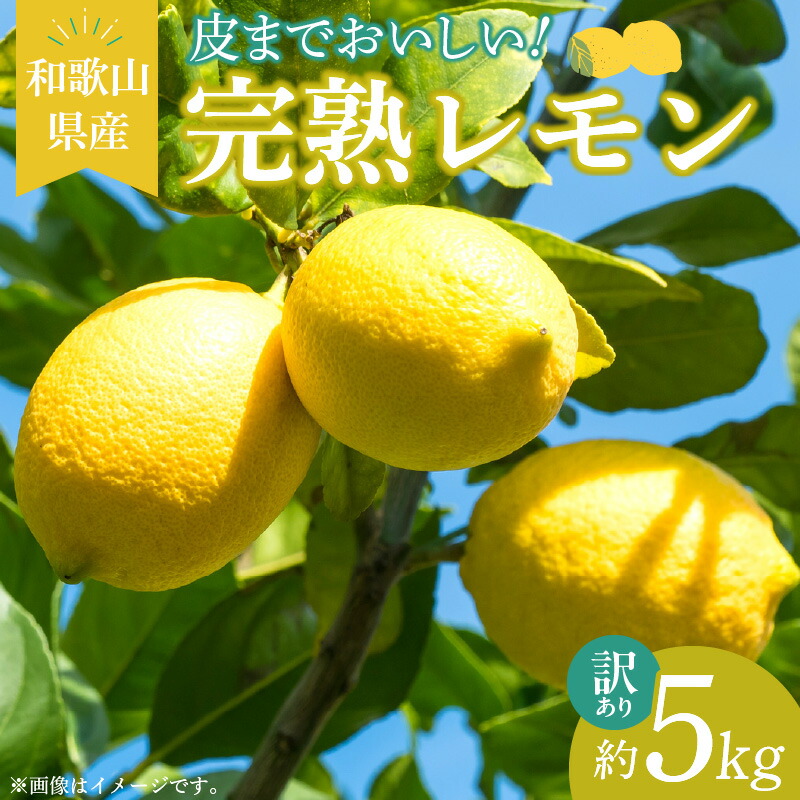 【ふるさと納税】【訳あり・ご家庭用】完熟 レモン 5kg 皮まで使用可能（栽培期間中農薬不使用）