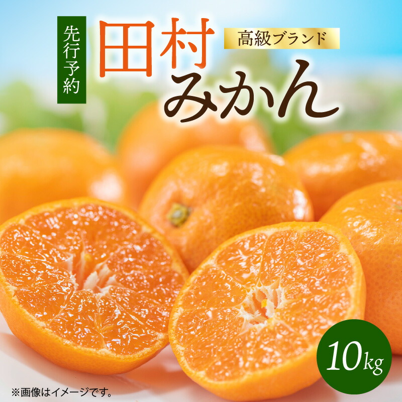 【ふるさと納税】【2025年 先行予約】 高級ブランド 田村みかん 10kg 【ミカン 蜜柑 柑橘 温州みかん 有田みかん 和歌山】