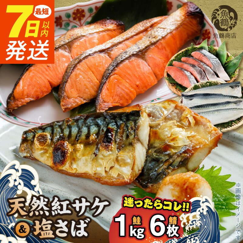 【ふるさと納税】【限定】 《7日以内発送》 天然 紅サケ 1kg & 塩さば 6枚 セット 切身 フィレ 選りすぐり コク 旨み 鮭 肉厚 鯖 魚 海の幸 海鮮 魚介 食品 食べ物 おかず 料理 お弁当 ホイル焼き 煮魚 塩焼き 水産加工品 お取り寄せ 冷凍 真空パック 和歌山 湯浅町 送料無料