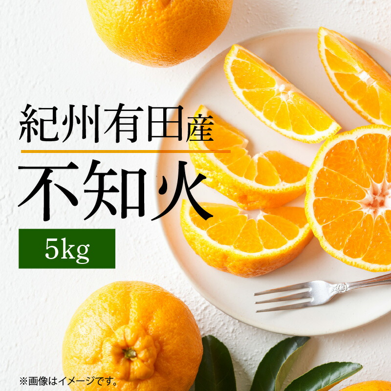 【ふるさと納税】【限定】 【2026年先行予約】 不知火 5kg デコポン 柑橘の王様 甘い プリプリ ジューシー 濃厚 フルーツ 果実 果物 柑橘 紀州有田産 国産 食品 食べ物 お取り寄せ 魚鶴商店 和歌山県 湯浅町 送料無料