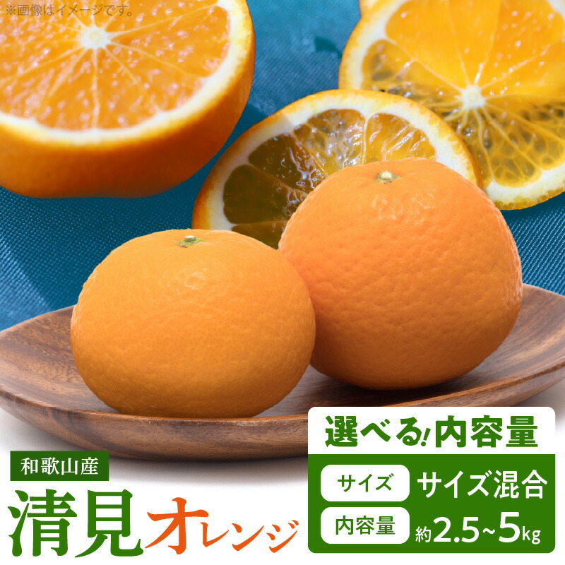 【ふるさと納税】【限定】【2026年先行予約】 オレンジ 清見オレンジ 選べる 容量 約 2.5kg 5kg サイズ おまかせ フルーツ 果物 柑橘 果実 甘い 果汁 ジューシー コク 柑橘の親 国産 食品 食べ物 魚鶴商店 平成の三大柑橘 お取り寄せ 和歌山県 湯浅町 送料無料