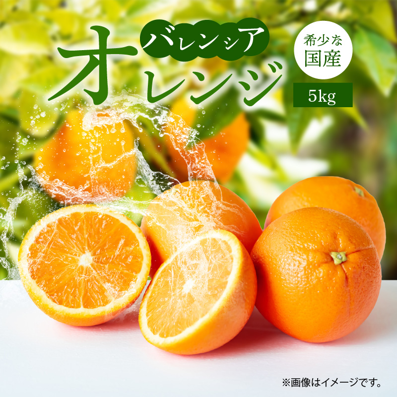 【ふるさと納税】【限定】 バレンシアオレンジ 5kg 希少 国産 秀品 果汁 豊富 糖度 高い 甘い 爽快感 香り 酸味 味わい スッキリ 栄養補給 オレンジ 柑橘 果物 果実 フルーツ 食品 食べ物 ジュース デザート お取り寄せ お取り寄せフルーツ 和歌山県 湯浅町 送料無料