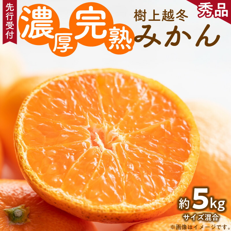 【ふるさと納税】【2026年先行予約】【濃厚・まろやか】 樹上越冬 完熟 みかん 5kg (2S～Mサイズ混合・秀品)【ミカン 蜜柑 柑橘 温州みかん 有田みかん】