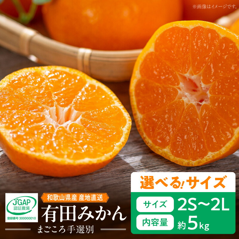 【ふるさと納税】【限定】 【2025年先行予約】和歌山県産 有田みかん 5kg 選べるサイズ ２S ～ 2Lサイズ【まごころ手選別】【ミカン 蜜柑 温州みかん 柑橘 和歌山】