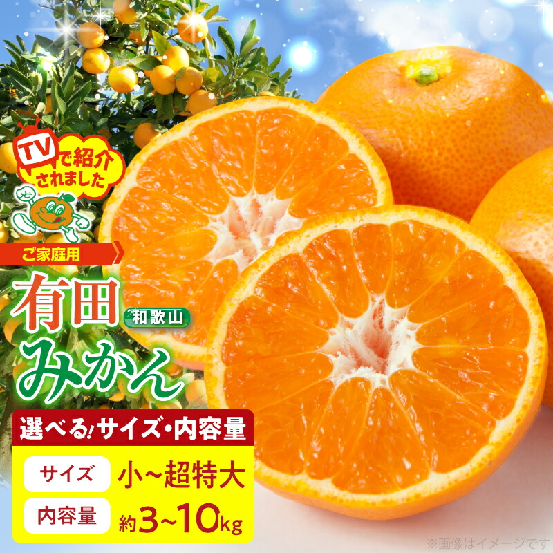 【ふるさと納税】【限定】 【2025年先行予約】 【TVで紹介されました】 有田みかん 訳あり 家庭用 選べる サイズ 内容量 3 ~ 10kg 小 ～ 超特大 サイズ混合 みかん 温州みかん フルーツ 柑橘 果物 果実 ジューシー 人気 国産 食べ物 産地直送 和歌山県 湯浅町 送料無料