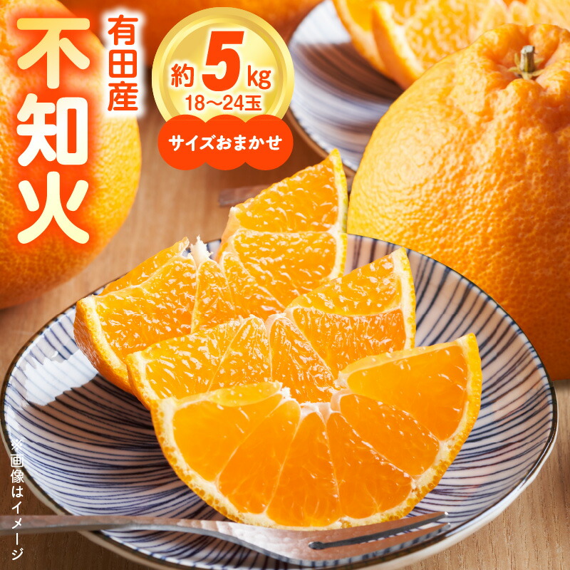 和歌山　デコポン　不知火　高糖度　10kg 少し訳あり不知火（デコポン）10kg | 果物/その他柑橘類