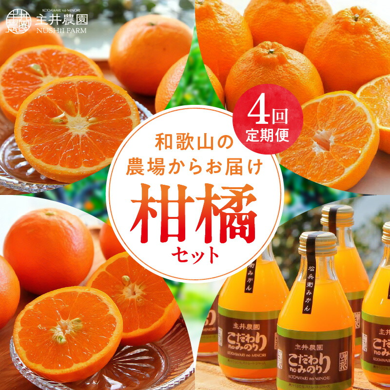 ジュビロ磐田 針谷岳晃 PUMA サッカー ゲームシャツ ユニフォーム