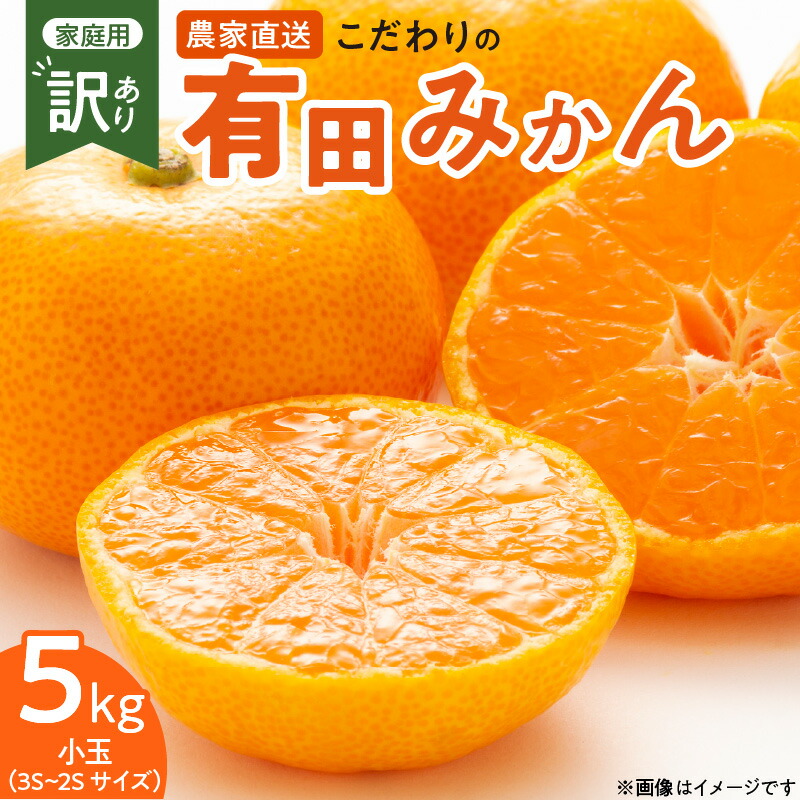 【ふるさと納税】【2025年先行予約】【限定】 こだわりの 有田みかん 小玉 5kg (2S～3Sサイズ)【訳あり 家庭用】和歌山   有田 みかん 温州みかん 送料無料