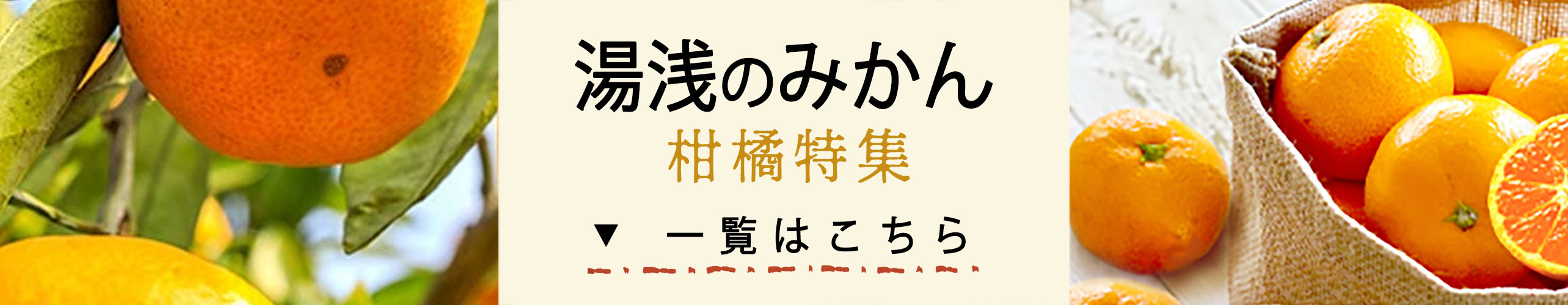 楽天市場】【ふるさと納税】【秀品】有田みかん 和歌山県産 3kg (2S～Lサイズ混合) 【まごころ手選別】【産地直送】みかん ミカン 蜜柑 送料無料  本場有田 甘い 濃厚 コク ジューシー ふるさと納税 ふるさと 寄附 先行予約 : 和歌山県湯浅町