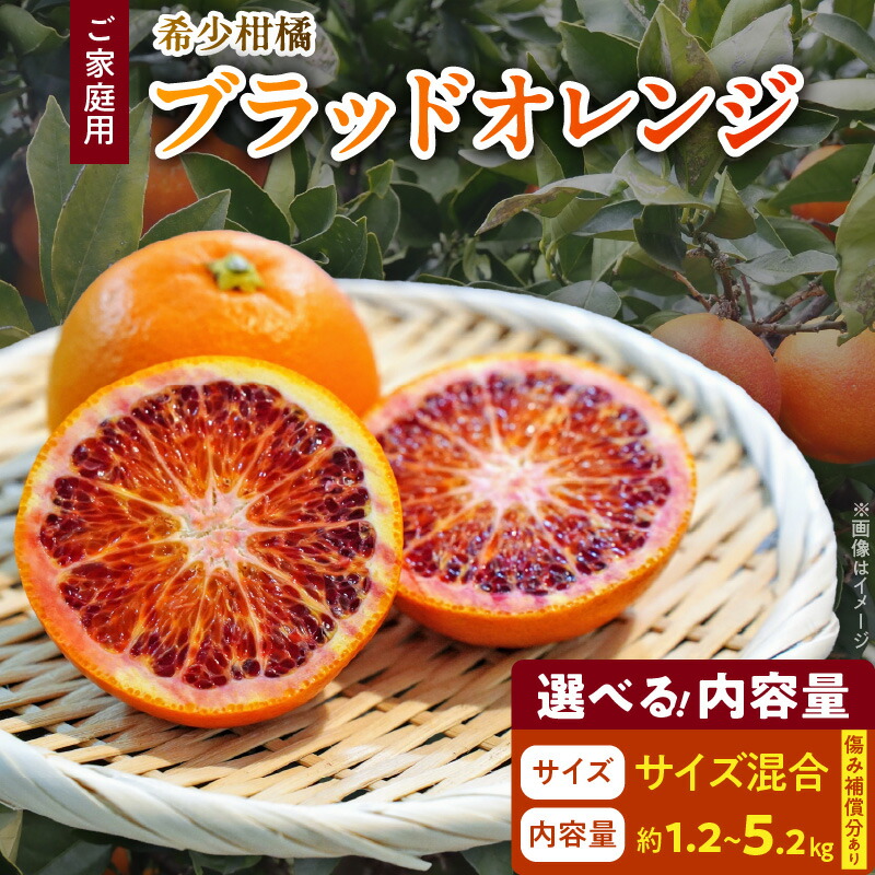 【送料無料　ご家庭用】愛媛産　ブラッドオレンジ　モロ　中～小玉　約4ｋｇ タロッコ(ブラッドオレンジ) | 媛一お取り寄せ市場