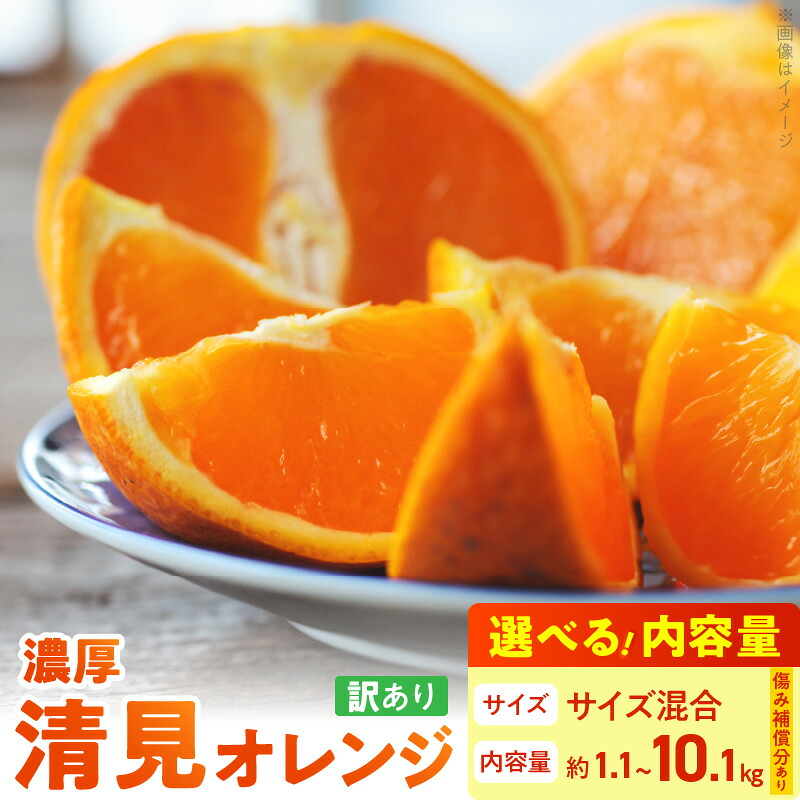 【ふるさと納税】【限定】期間限定 清見 オレンジ 5kg ～ 10kg + 100g(傷み補償分) 訳あり 家庭用 サイズ混合 みずみずしい 手選別 フルーツ 果実 果物 柑橘 有田産 国産 食品 食べ物 有田マルシェ お取り寄せ 和歌山県 湯浅町 送料無料