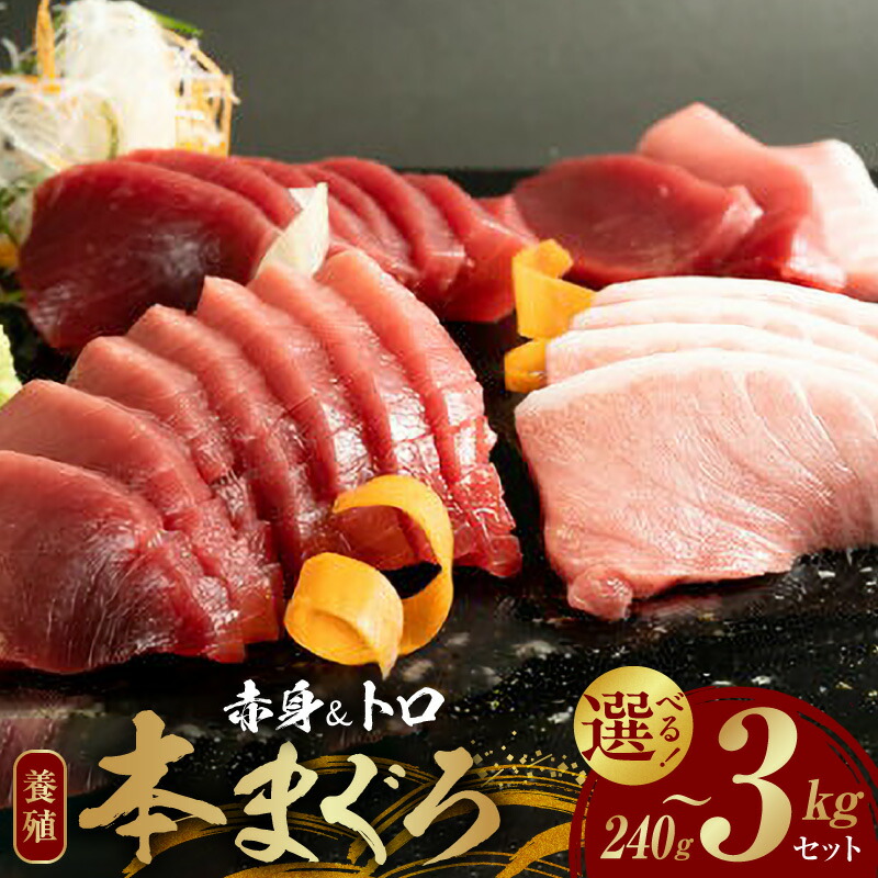【ふるさと納税】母の日 父の日 本マグロ 養殖 赤身 トロ セット 選べる 内容量 240g 500g 1350g 3kg 海鮮 魚介 お刺身 お寿司 まぐろ丼 鮪サク サク 新鮮 濃厚 安心 安全 グルメ 食品 冷凍 お取り寄せ 和歌山県 湯浅町 送料無料