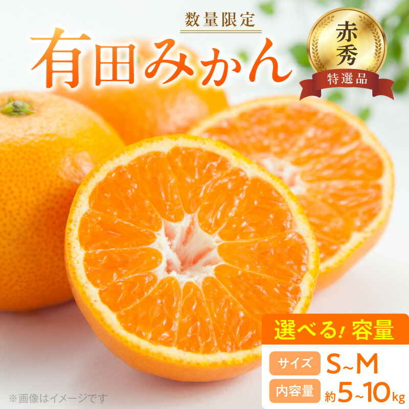 【ふるさと納税】【2025年先行予約】 数量限定 赤秀 特選品 有田みかん S ～ Mサイズ 選べる容量 約5kg ～ 約10kg 和歌山県 有田産 追熟 有田 みかん 温州みかん 柑橘 果物 果実 果肉 フルーツ ビタミン 食品 国産 贈答用 ギフト用 期間限定 お取り寄せ 湯浅町 送料無料