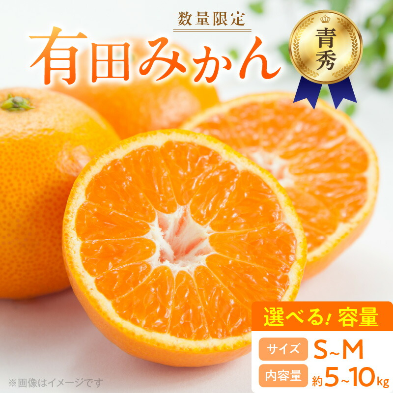 【ふるさと納税】【2026年先行予約】 青秀品 有田みかん S ～ Mサイズ 選べる容量 約5kg ～ 約10kg 和歌山県 有田産 青秀 追熟 有田 みかん 温州みかん 柑橘 果物 果実 果肉 フルーツ ビタミン 食品 国産 贈答用 ギフト用 期間限定 お取り寄せ 湯浅町 送料無料｜和歌山県湯浅町