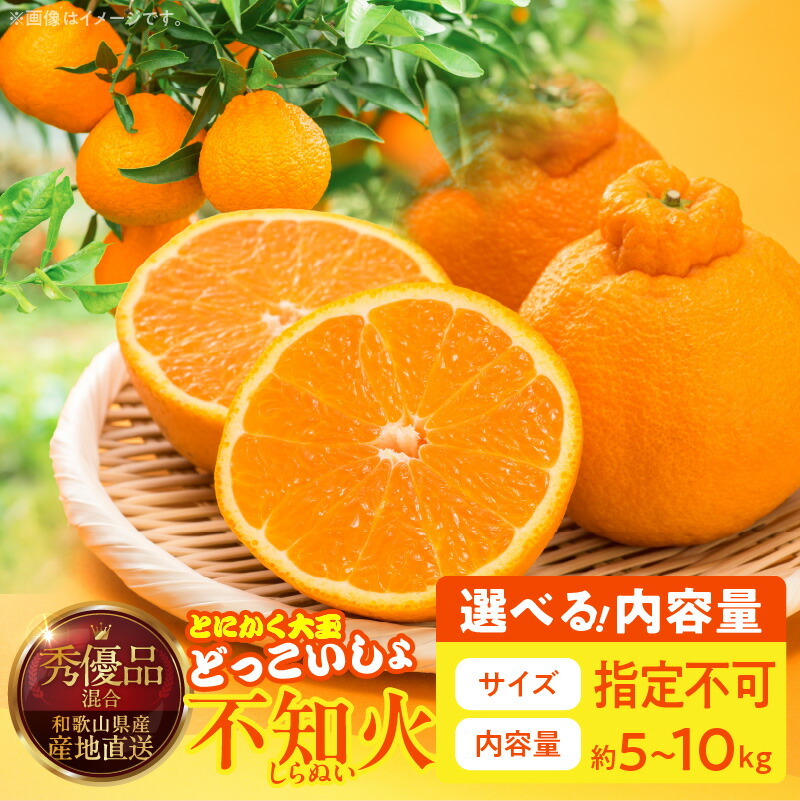 楽天市場】【ふるさと納税】スイートデコ 不知火 8玉 ～ 12玉 国産