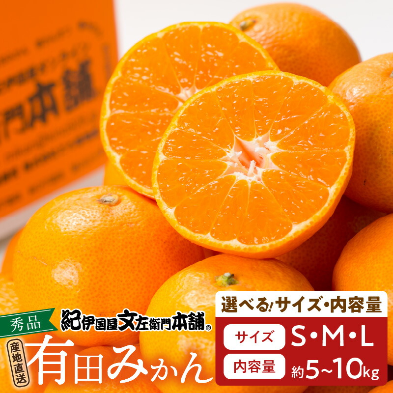 【ふるさと納税】高評価★4.59 有田みかん 秀品 選べる サイズ 内容量 S ~ L 5kg / 10kg コク 濃厚 ジューシー ノーワックス 温州みかん みかん フルーツ 柑橘 果物 果実 デザート 国産 食品 食べ物 期間限定 グルメ お取り寄せ お取り寄せフルーツ 和歌山県 湯浅町 送料無料