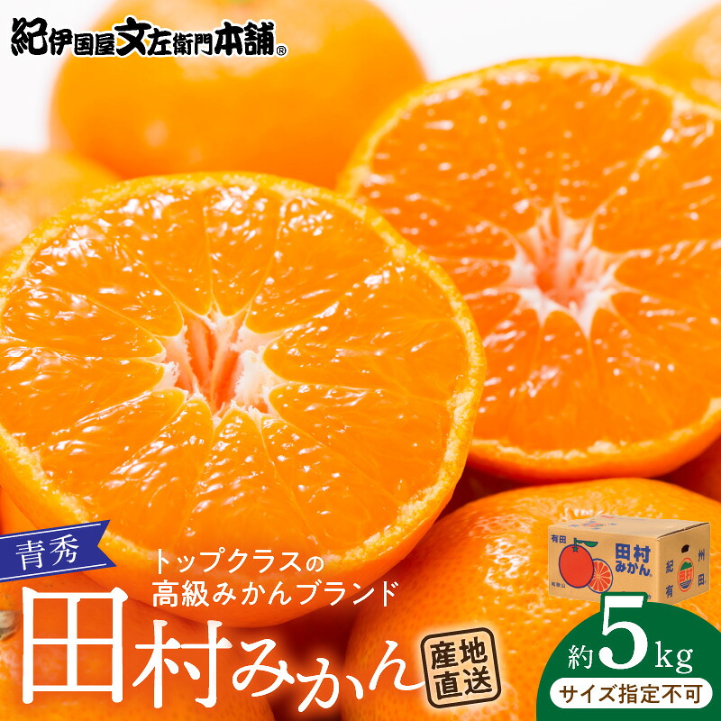 【ふるさと納税】【限定】【2026年先行予約】 田村みかん／5kg青秀／サイズ指定なし／紀州和歌山有田郡湯浅町田村地区産／最高級プレミアムブランドの田村ミカン／紀伊国屋文左衛門本舗(お届け日指定不可)｜和歌山県湯浅町 13,490円