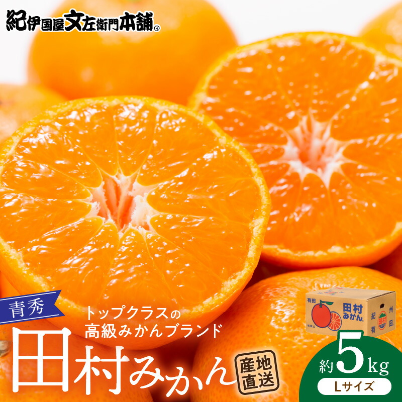 【ふるさと納税】【2026年先行予約】 田村みかん／5kg青秀【Lサイズ】／紀州和歌山有田郡湯浅町田村地区産／最高級プレミアムブランドの田村ミカン／紀伊国屋文左衛門本舗(お届け日指定不可)｜和歌山県湯浅町 14,060円