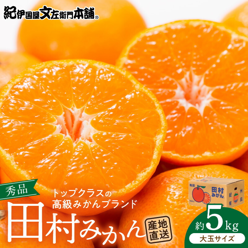 【ふるさと納税】【限定】  田村みかん／5kg秀品【大玉サイズ】／紀州和歌山有田郡湯浅町田村地区産／最高級プレミアムブランドの田村ミカン／紀伊国屋文左衛門本舗(お届け日指定不可)