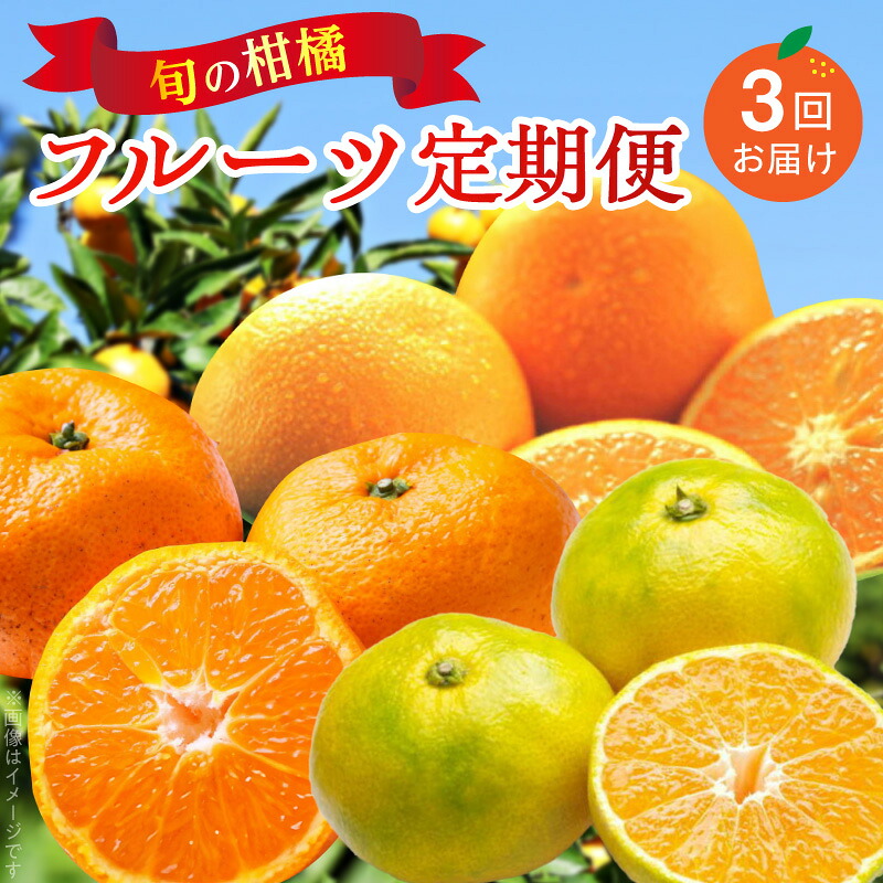 旬の柑橘フルーツ定期便 全3回
