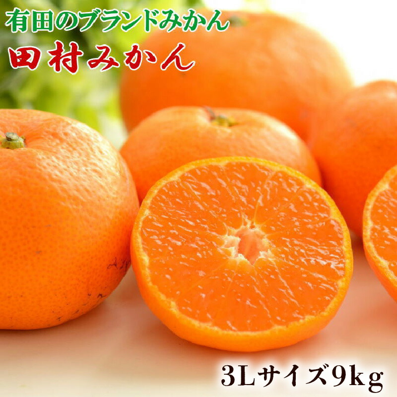 【ふるさと納税】【限定】数量限定 田村みかん 約 9kg 3Lサイズ 大玉 等級 混合 国産 ブランドみかん 大玉みかん みかん 柑橘 果物 果実 濃厚 フルーツ デザート 食品 食べ物 お取り寄せ お取り寄せフルーツ 和歌山県 湯浅町 送料無料｜和歌山県湯浅町 7,800円