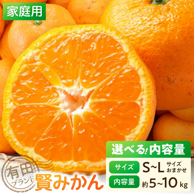 【ふるさと納税】【2026年先行予約】 【家庭用】 有田ブランド 賢みかん S～Lサイズおまかせ 選べる 内容量 約5kg 約10kg みかん 柑橘 温州みかん 有田みかん おやつ 果物 果実 フルーツ お取り寄せ お取り寄せフルーツ 和歌山県 湯浅町 送料無料｜和歌山県湯浅町