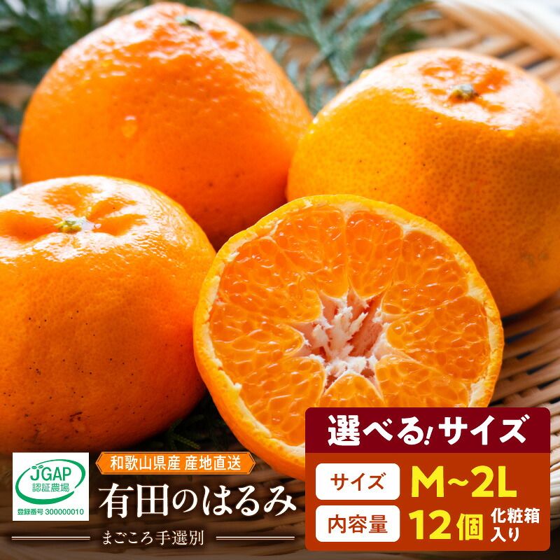 【ふるさと納税】和歌山県産 有田 はるみ 化粧箱入り 12個 選べる サイズ M L 2L 早熟 甘い 爽やか 皮が剥きやすい 種が少ない 手選別 フルーツキャップ みかん フルーツ 柑橘 果実 お取り寄せ 和歌山県 湯浅町 送料無料｜和歌山県湯浅町 13,320円