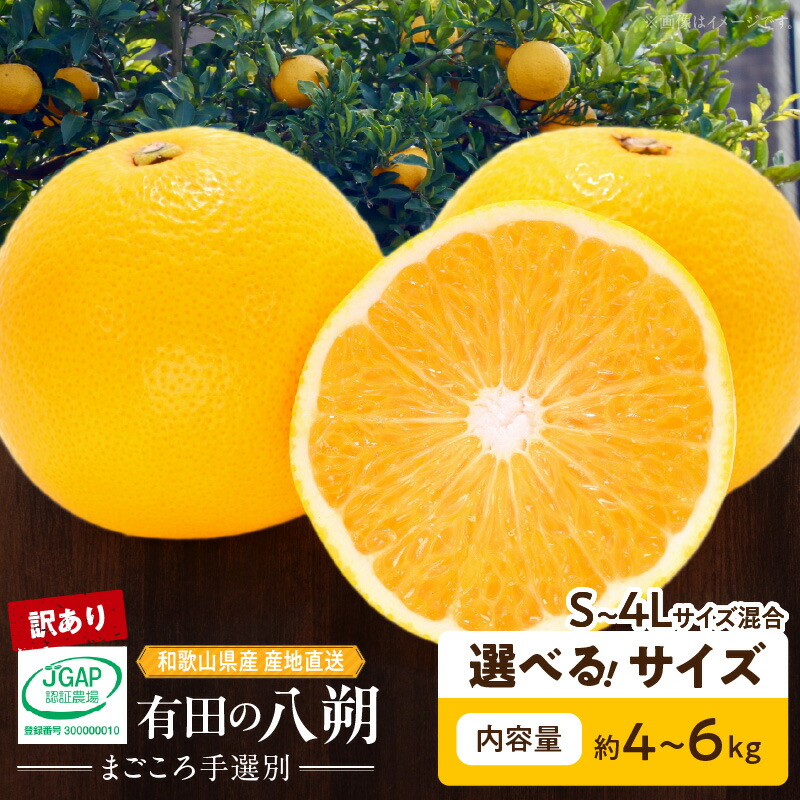 【ふるさと納税】【限定】【2026年先行予約】 訳あり 和歌山県産 八朔 S ～ 4L サイズ 混合 選べる 内容量 4 ～ 6kg まごころ手選別 有田 国産 柑橘 果物 果実 フルーツ 産地直送 おやつ デザート こだわり 家庭用 お取り寄せ お取り寄せフルーツ 和歌山県 湯浅町 送料無料