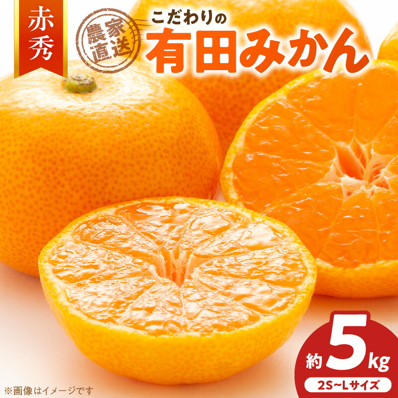 【ふるさと納税】【2026年先行予約】【限定】 こだわりの 有田みかん 赤秀 約5kg 藤秀園 みかん 温州みかん 和歌山 有田 送料無料｜和歌山県湯浅町
