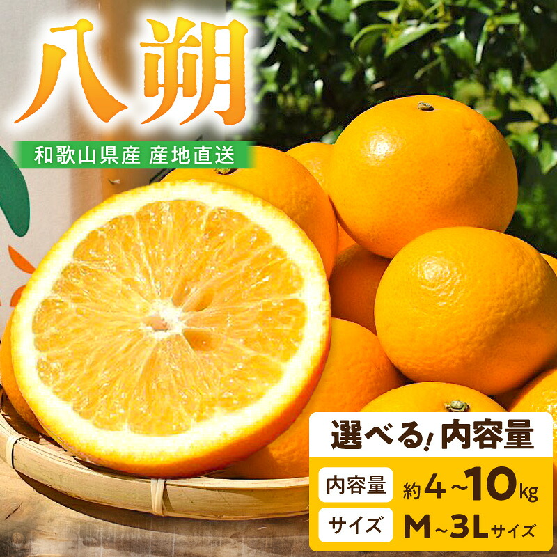 【ふるさと納税】【限定】 【2027年先行予約】 産地直送 和歌山県産 八朔 選べる 内容量 約 4kg 10kg M L 2L 3Lサイズ 柑橘 フルーツ デザート 有田 すっきりとした甘さ ほのかな苦み 食べやすい お取り寄せ 和歌山県 湯浅町 送料無料｜和歌山県湯浅町