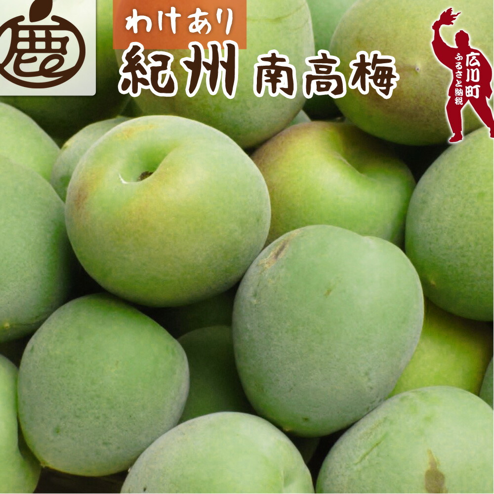 【ふるさと納税】 青梅 訳あり 南高梅   /  梅 梅ジュース 梅酒 梅干し 家庭用 和歌山 1kg 2kg 5000円 ～ ※6月発送 ※北海道・沖縄・離島への配送不可 //hokaf