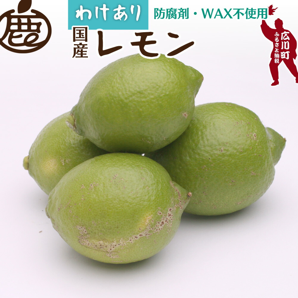 【ふるさと納税】 家庭用 黒潮 レモン 【 和歌山 有田産 】 【 防腐剤 WAX不使用 安心の国産レモン 】 【 わけあり 訳あり レモン 】 ※9月上旬～翌年7月中旬頃に順次発送予定 ※北海道・沖縄・離島への配送不可 // lemon // best