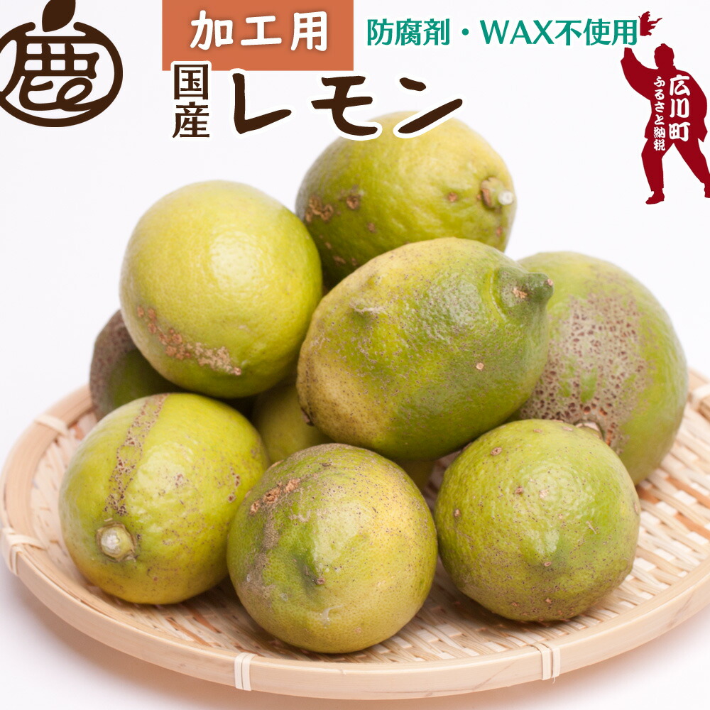 【ふるさと納税】 加工用 黒潮 レモン 【 和歌山 有田産 】 【 防腐剤 WAX不使用 安心の国産レモン 】 【 わけあり 訳あり レモン 】 【 果汁用 】 ＜9月上旬頃～6月上旬頃に順次発送予定＞ ※北海道・沖縄・離島への配送不可 / 檸檬 くだもの 果実 柑橘 果物  //lemon