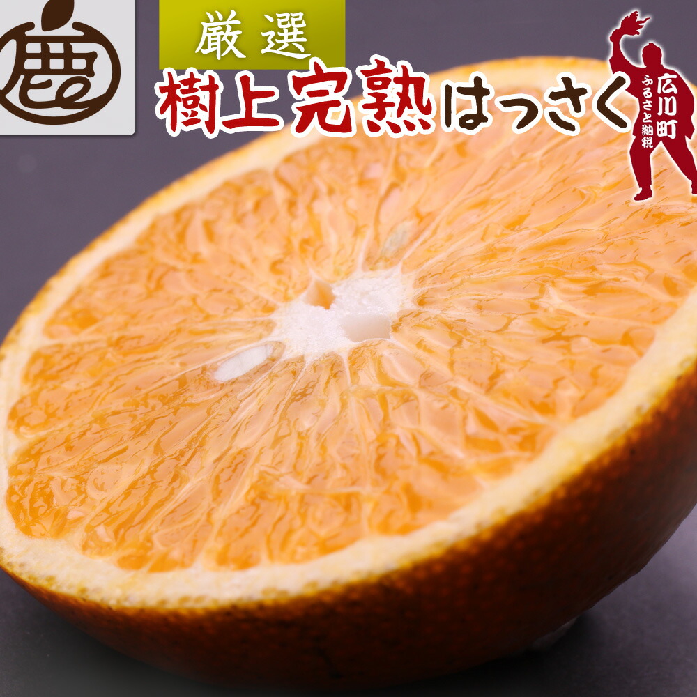 【ふるさと納税】厳選 樹上 完熟 はっさく 光センサー選別 / 有田 春 みかん 五月 八朔 木生り 1kg 5kg 10kg ※4月上旬～6月下旬頃に順次発送予定 ※北海道・沖縄・離島への配送不可 //hassaku