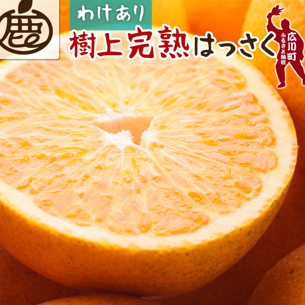 【ふるさと納税】家庭用 樹上 完熟 はっさく 光センサー選別 / 訳あり 有田 みかん 五月 八朔 木生り 1.5kg 5kg 10kg 5000円 15000円 ※4月上旬～6月下旬頃に順次発送予定 ※北海道・沖縄・離島への配送不可 //hassaku