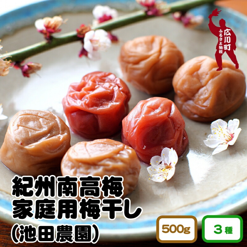 【ふるさと納税】家庭用 梅干し 500g / 紀州南高梅 なんこう梅 つぶれ梅 やぶれ梅 家庭用 わけあり 訳あり  南高梅 うめ 梅【ゆうパケット便でポスト投函】 //plum //best