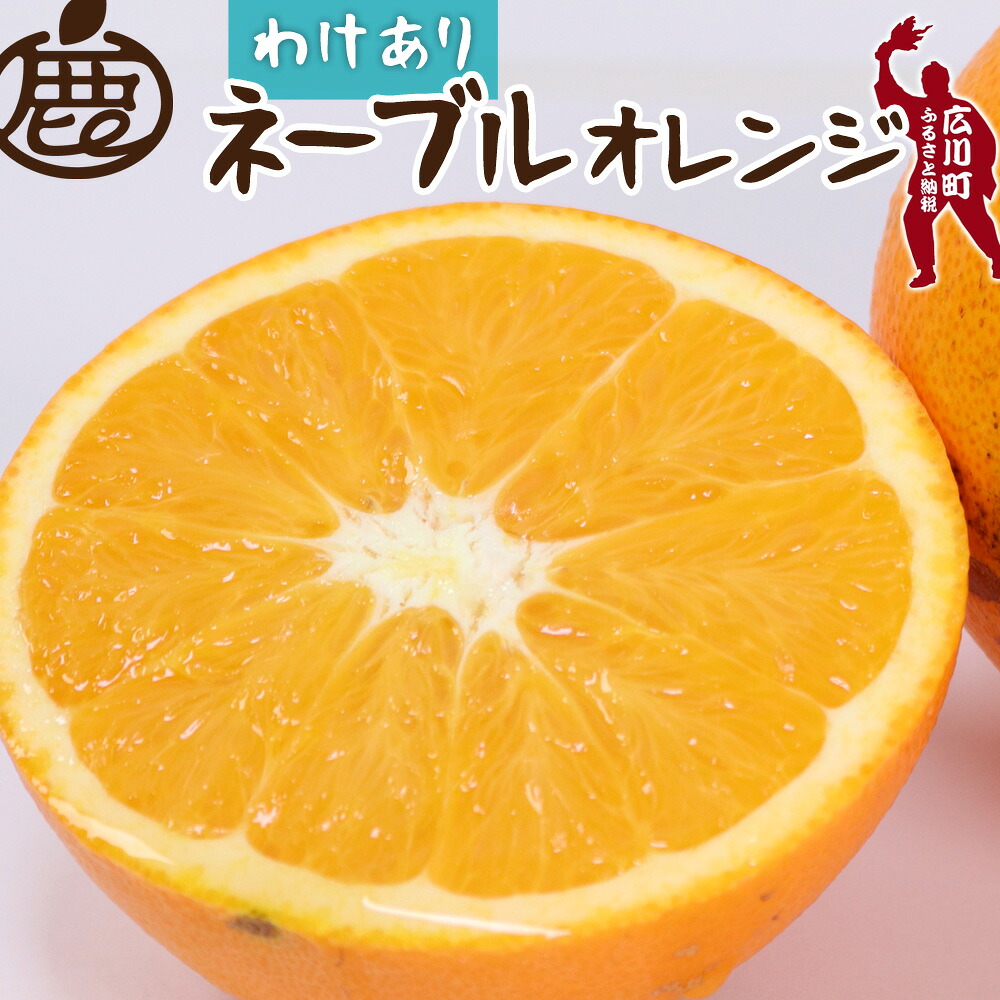 【ふるさと納税】 ネーブル オレンジ 訳あり 光センサー 選果 / 家庭用 甘い 和歌山 柑橘 1kg 5kg 10kg ※2月中旬～3月中旬頃に順次発送予定 ※北海道・沖縄・離島への配送不可 //dekopon｜和歌山県広川町