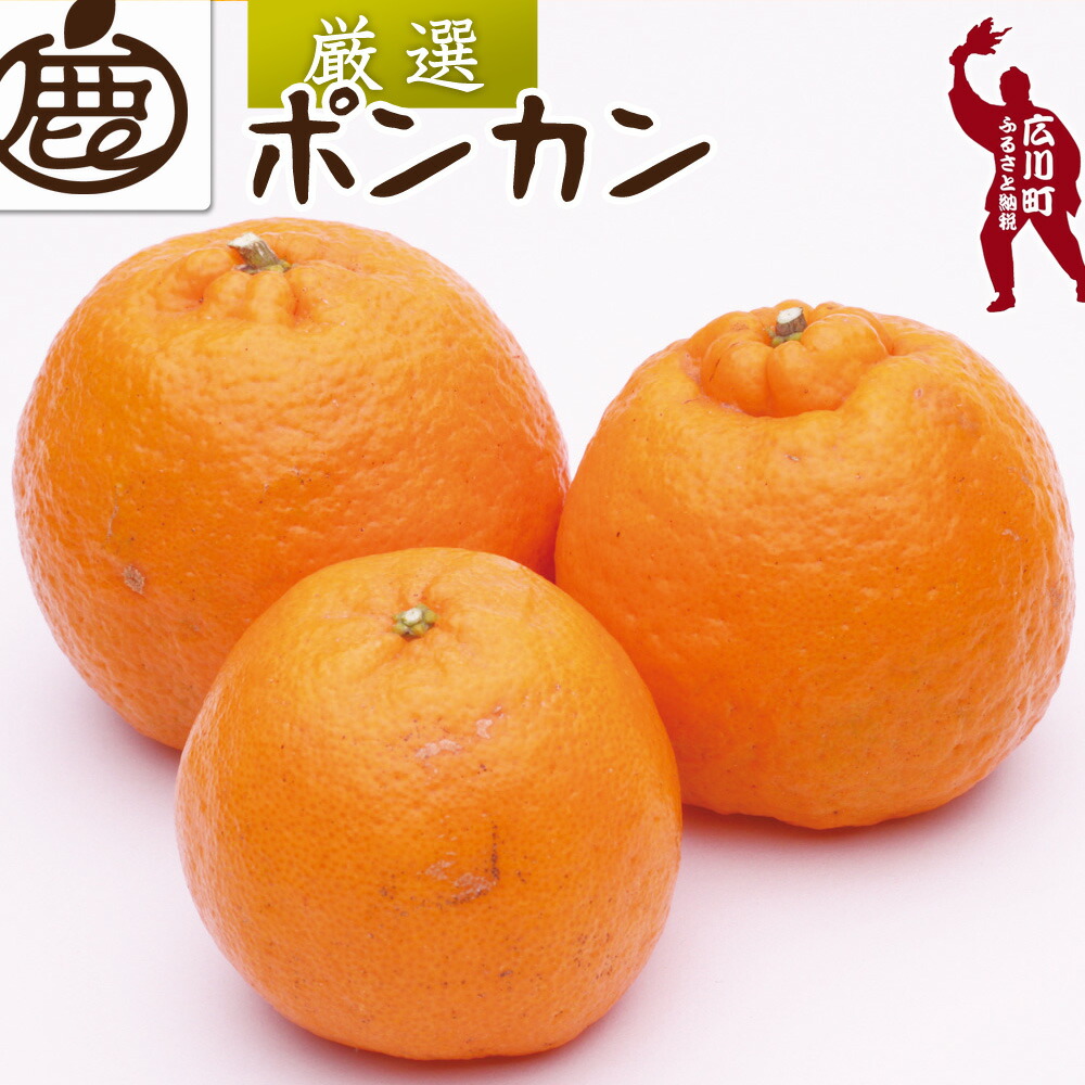 【ふるさと納税】 厳選 ポンカン 1kg 2.5kg 5kg 7.5kg 10kg 【 光センサー 食頃出荷】【人気の 柑橘 】 ※1月中旬～2月下旬頃に順次発送予定 ※北海道・沖縄・離島への配送不可 //dekopon