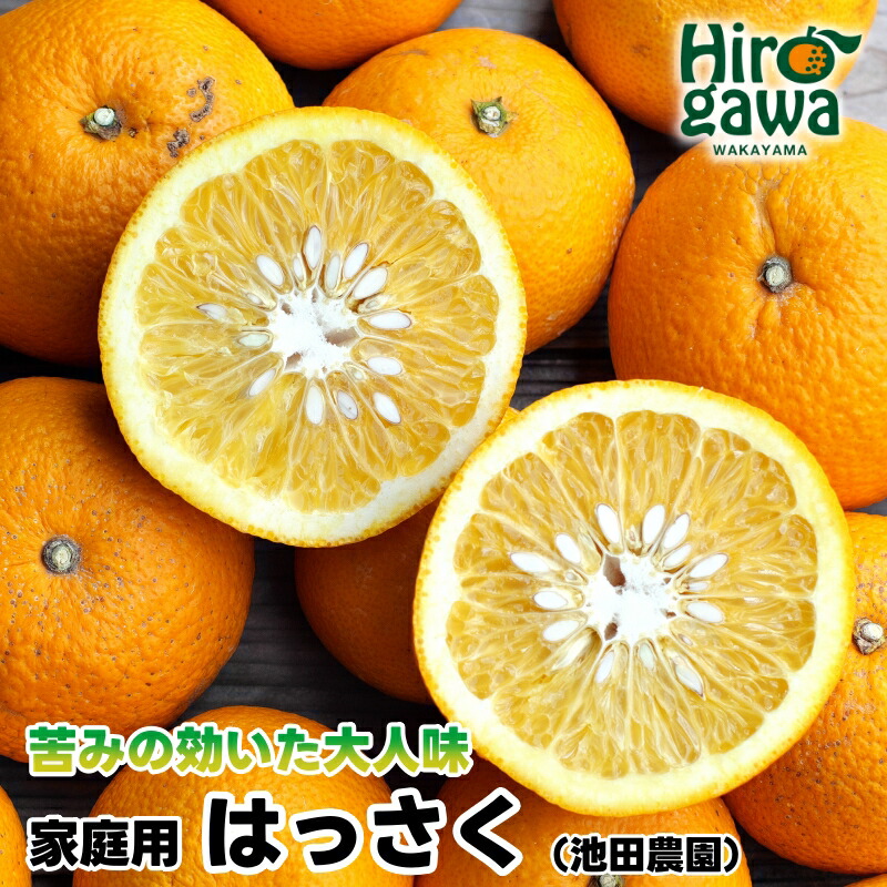 【ふるさと納税】 家庭用 はっさく 【 八朔 】 【 わけあり 訳あり 】 5000円 6000円 8000円 11000円 14000円 ※1月上旬～4月上旬頃に順次発送予定 ※北海道・沖縄・離島への配送不可 // hassaku