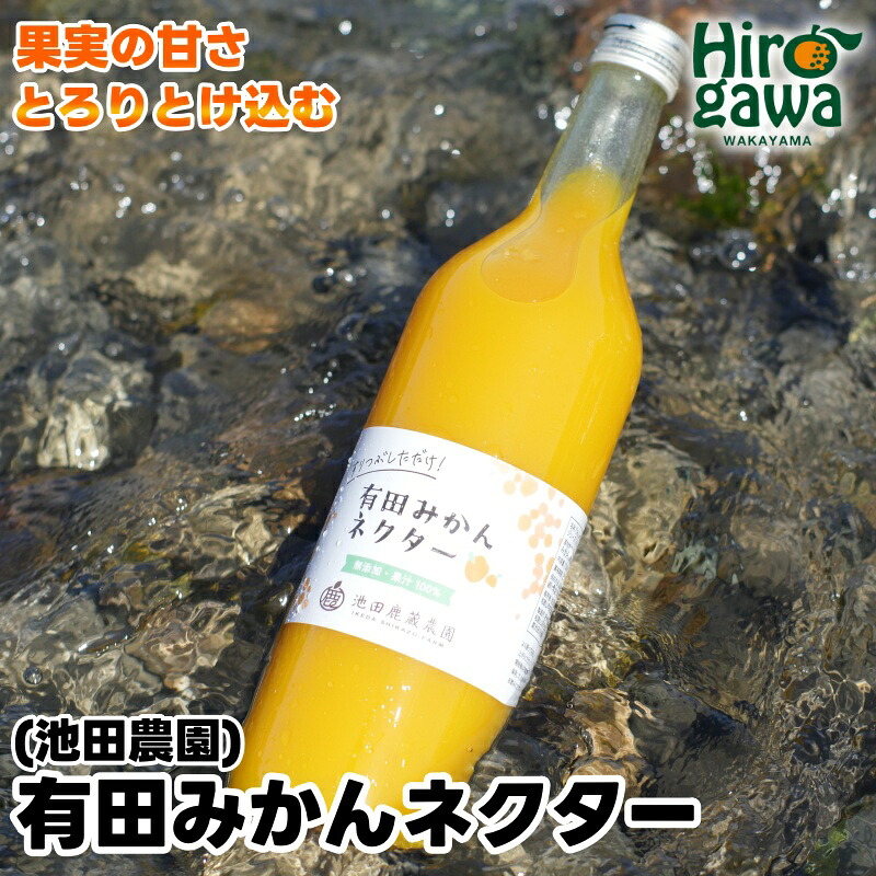 【ふるさと納税】 みかん ネクター 100％ ジュース / 温州みかん 有田みかん 果汁 無添加 柑橘 和歌山 5000円 180ml 720ml ※北海道・沖縄・離島への配送不可 //drink｜和歌山県広川町
