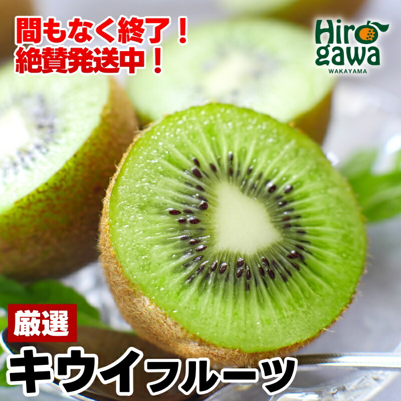 【ふるさと納税】 【即納】 キウイ 厳選 / キウイフルーツ 高級  果物 和歌山 1kg 3kg 5kg 6000円 ※2024年11月中旬～2025年6月中旬頃に順次発送 ※北海道・沖縄・離島への配送不可 //hokaf