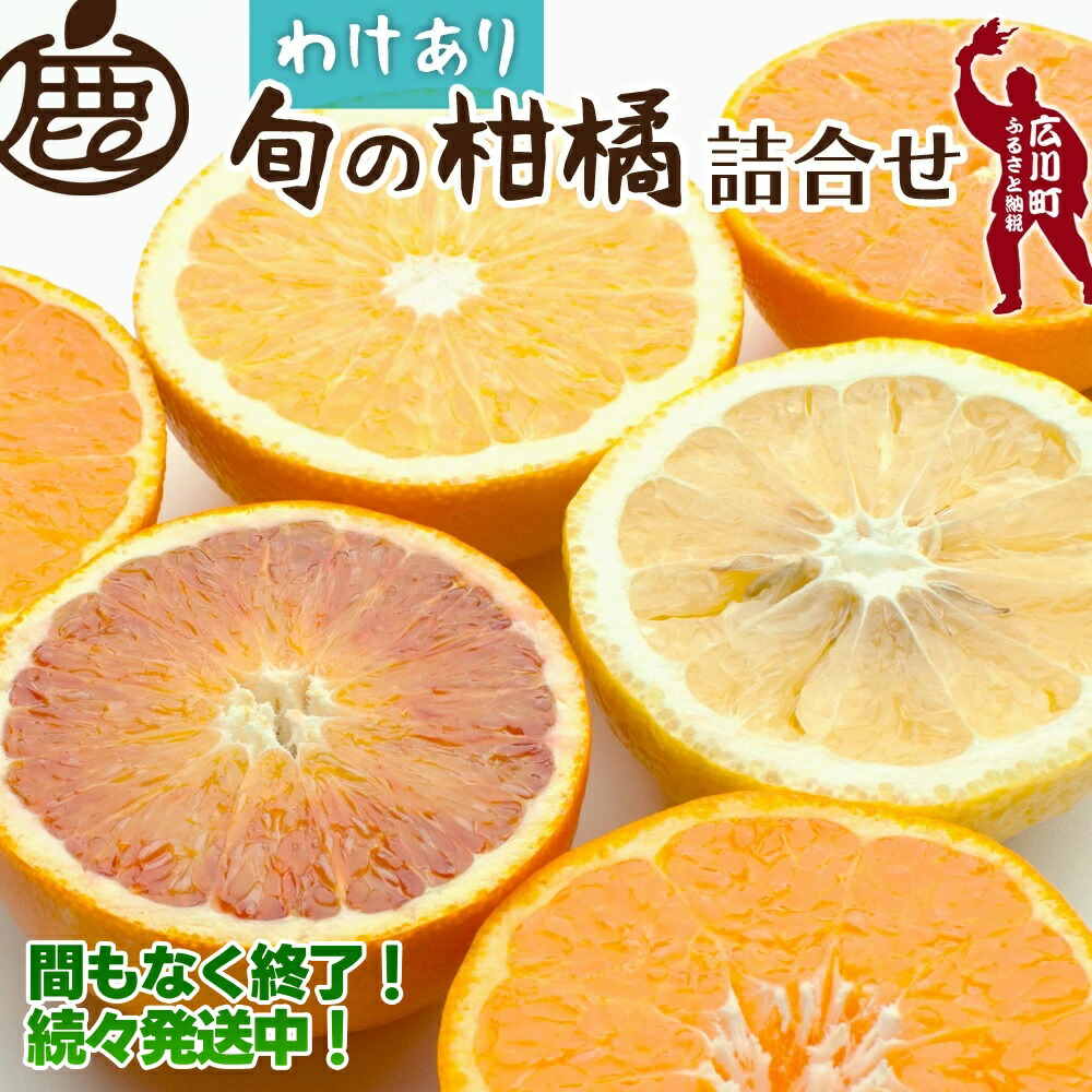 【ふるさと納税】 家庭用 柑橘 詰合せ【訳あり・わけあり】【有田の春みかん詰め合わせ・フルーツ詰め合せ・オレンジつめあわせ】【光センサー選別】※1月上旬～6月下旬頃に順次発送予定【※北海道・沖縄・離島への配送不可】 //hassaku