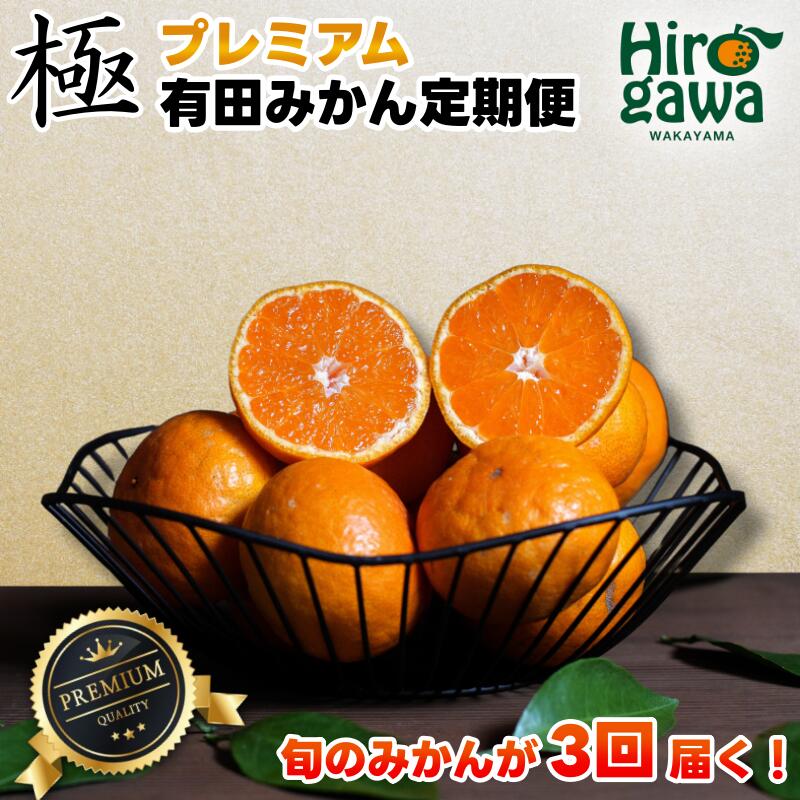 【ふるさと納税】 極プレミアム 有田 みかん 定期便 【全3回】 / 温州みかん 有田みかん 甘い 厳選 高級 和歌山 有田 1kg 5kg 10kg ※北海道・沖縄・離島への配送不可 //teiki|和歌山県広川町
